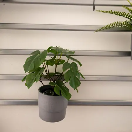 Smiley House By Al *